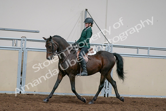 2020 - AB Morgan Horse - Sat, Sept 05 - 05048