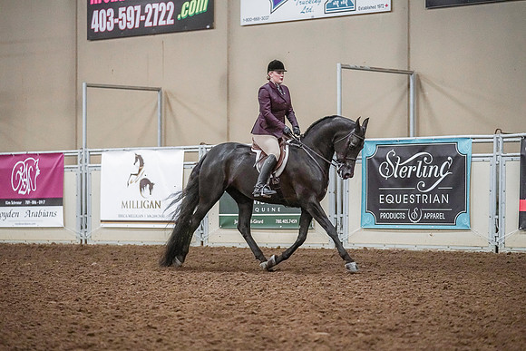 Spring Fling - Saturday - April 20, 2019  -  04639