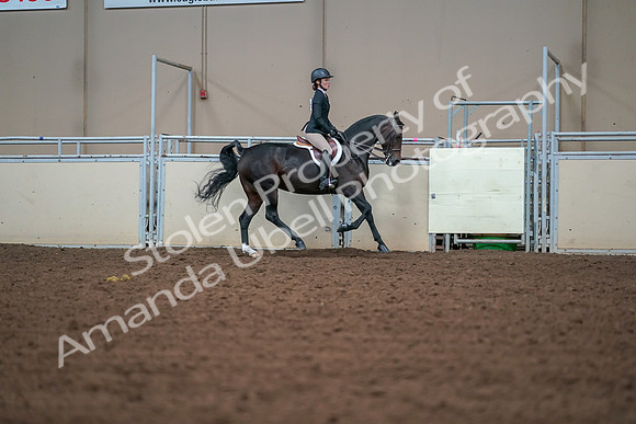 2019 Morgan Horse Show - Aug 30, 2019 - 21092