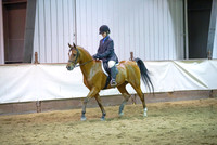 261 Arabian Hunter Pl JTR