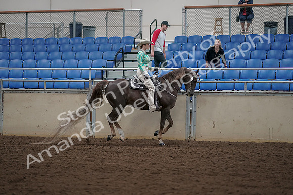 2019 Morgan Horse Show - Aug 30, 2019 - 26160