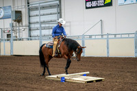 2020 - AB Morgan Horse - Fri, Sept 04 - 00230