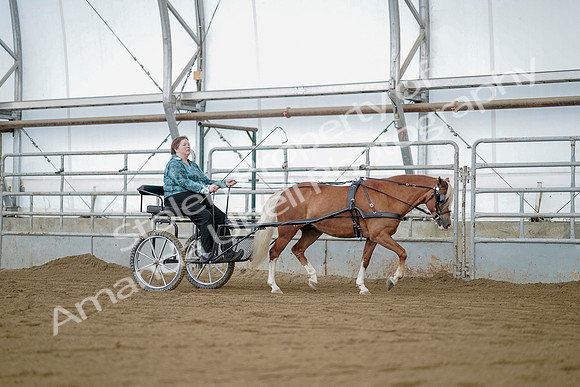 July 21, 2019 - 05984