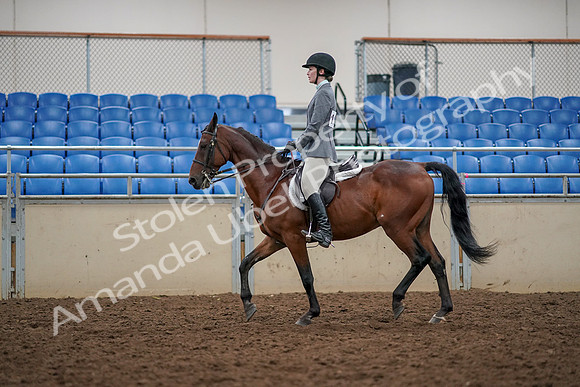 2019 Morgan Horse Show - Aug 30, 2019 - 23374