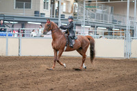 Class 127 - All Breed Walk-Trot Eng Pl 11 & Under