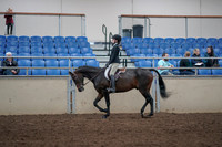 2019 Morgan Horse Show - Aug 31, 2019 - 08038
