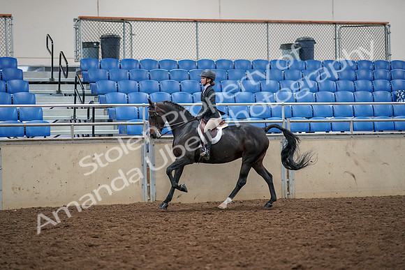 2019 Morgan Horse Show - Aug 30, 2019 - 23405