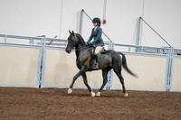 2020 - AB Morgan Horse - Sat, Sept 05 - 09057