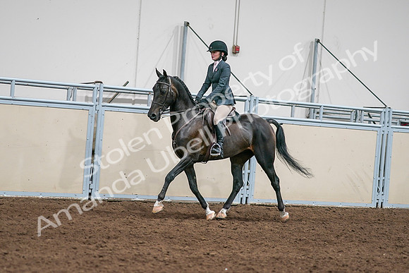 2020 - AB Morgan Horse - Sat, Sept 05 - 09057