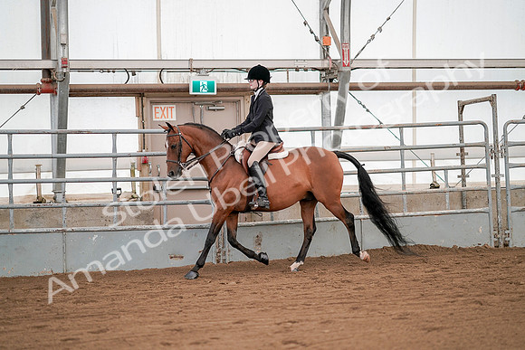 July 20, 2019 - 01272