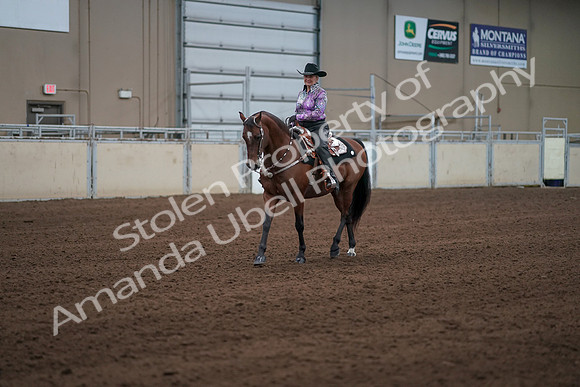 2019 Morgan Horse Show - Sept 01, 2019 - 07197