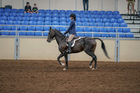 2020 - AB Morgan Horse - Sat, Sept 05 - 01177