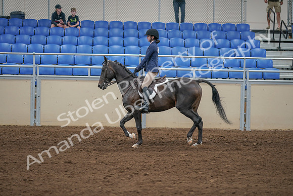 2020 - AB Morgan Horse - Sat, Sept 05 - 01177