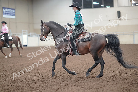 2019 Morgan Horse Show - Sept 01, 2019 - 06986