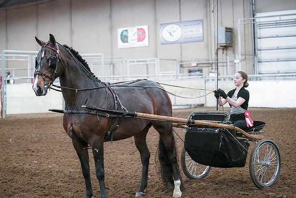 Spring Fling - Saturday - April 20, 2019  -  00322