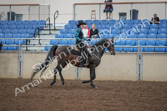 2019 Morgan Horse Show - Aug 30, 2019 - 26177