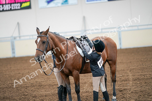 2020 - AB Morgan Horse - Fri, Sept 04 - 02083