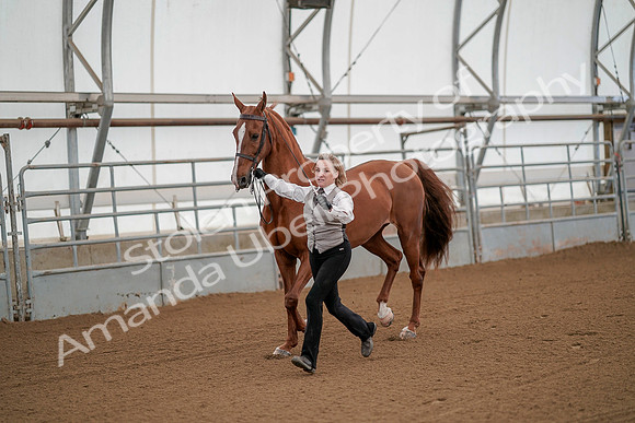 July 19, 2019 - 78
