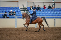 2020 - AB Morgan Horse - Sat, Sept 05 - 09708