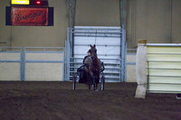 Class 1 - All Breeds Open Driving