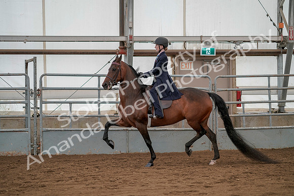 July 20, 2019 - 03767