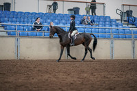 2019 Morgan Horse Show - Sept 01, 2019 - 09021