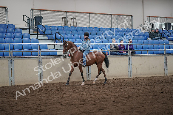 2019 Morgan Horse Show - Aug 30, 2019 - 31082