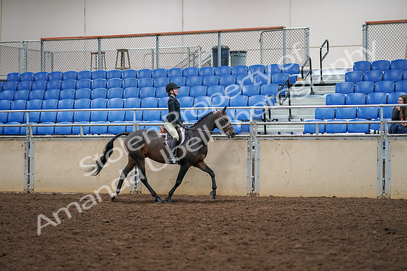 2019 Morgan Horse Show - Aug 30, 2019 - 12418