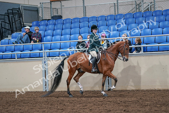 2020 - AB Morgan Horse - Sat, Sept 05 - 05177