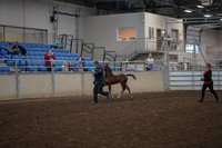2019 Morgan Horse Show - Aug 31, 2019 - 00359