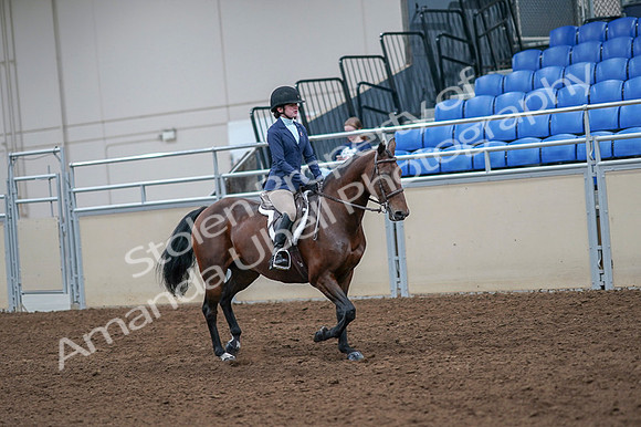 2020 - AB Morgan Horse - Fri, Sept 04 - 06073