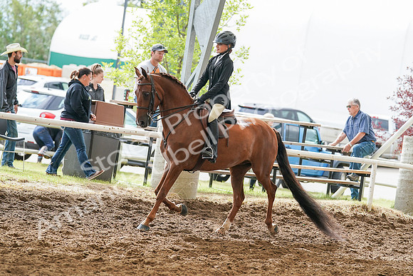 2020 - July 19 - Sunday - Summer Classic- 02791
