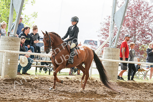 2020 - July 19 - Sunday - Summer Classic- 02922
