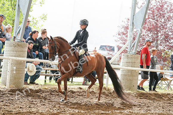2020 - July 19 - Sunday - Summer Classic- 02923