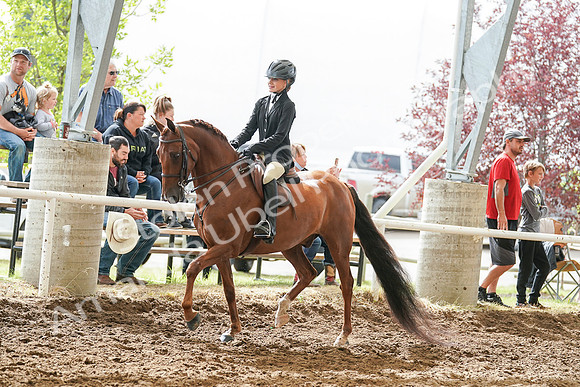2020 - July 19 - Sunday - Summer Classic- 02924