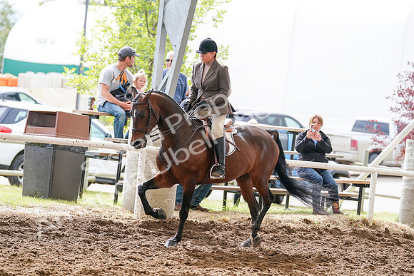 2020 - July 19 - Sunday - Summer Classic- 02936
