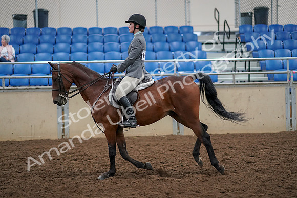 2019 Morgan Horse Show - Aug 30, 2019 - 23468