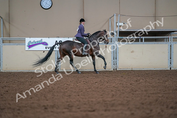 2019 Morgan Horse Show - Aug 30, 2019 - 20967