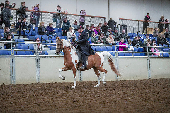 Spring Fling - Saturday - April 20, 2019  -  00651