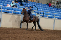 2020 - AB Morgan Horse - Fri, Sept 04 - 03624