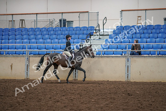 2019 Morgan Horse Show - Aug 30, 2019 - 12424