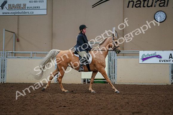 2019 Morgan Horse Show - Aug 30, 2019 - 22570
