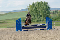 dark bay, black top, athabasca, female rider