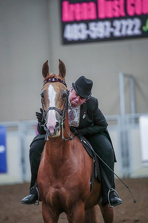 Spring Fling - Saturday - April 20, 2019  -  00853