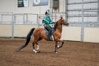 2020 - AB Morgan Horse - Fri, Sept 04 - 08683