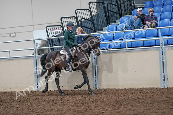 2020 - AB Morgan Horse - Sat, Sept 05 - 05140
