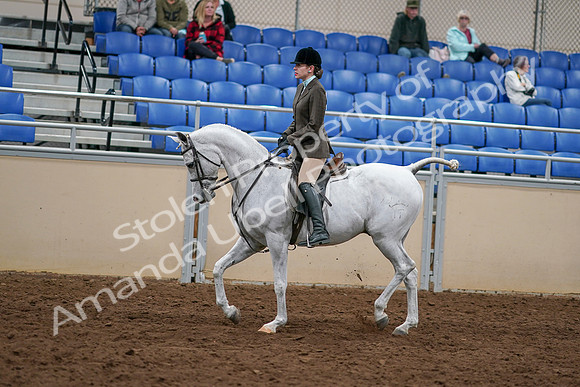 2020 - AB Morgan Horse - Sat, Sept 05 - 14250