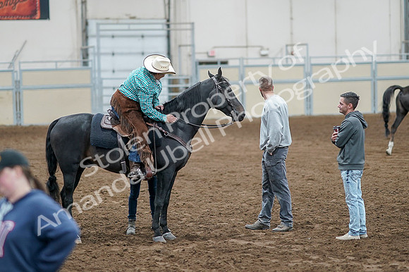 2020 - AB Morgan Horse - Fri, Sept 04 - 00661