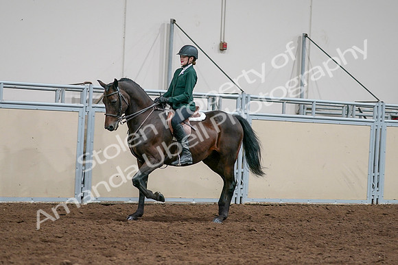 2020 - AB Morgan Horse - Sat, Sept 05 - 05037
