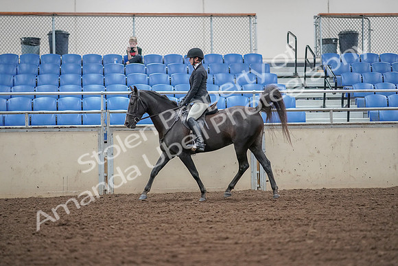 2019 Morgan Horse Show - Aug 30, 2019 - 14889